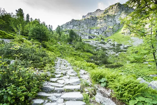 Podejście pomiędzy Morskim Okiem a Czarnym Stawem pod Rysami