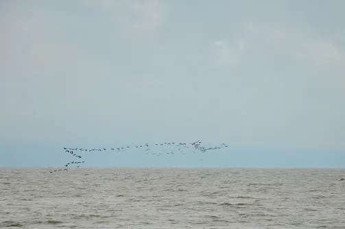 Krynica Morska - miasto na Mierzei Wiślanej