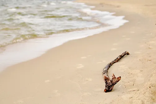 Krynica Morska - miasto na Mierzei Wiślanej