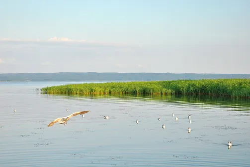Krynica Morska - miasto na Mierzei Wiślanej