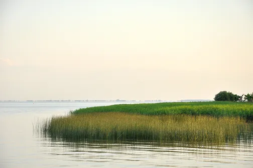 Krynica Morska - miasto na Mierzei Wiślanej