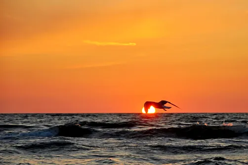 Krynica Morska - miasto na Mierzei Wiślanej