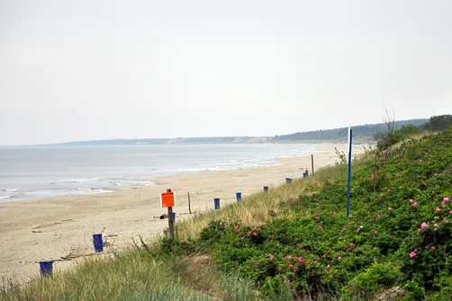 Piaski - w oddali granica polsko-rosyjska