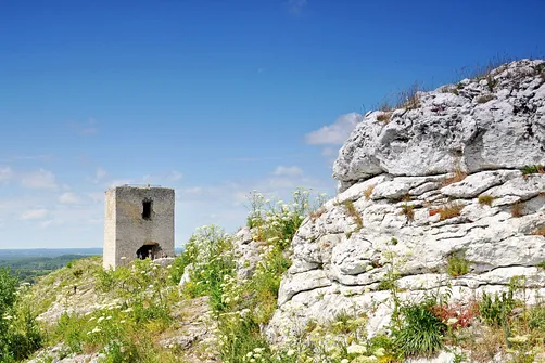 Zamek w Olsztynie koło Częstochowy.