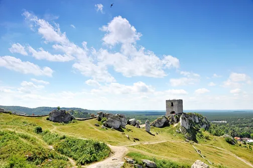 Zamek w Olsztynie koło Częstochowy.