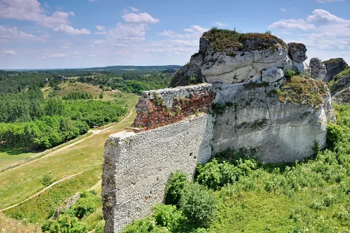Zamek w Olsztynie koło Częstochowy.