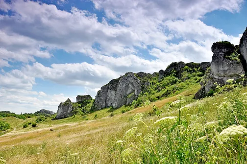 Zamek w Olsztynie koło Częstochowy.