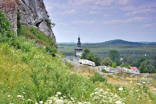 Zamek w Olsztynie koło Częstochowy.