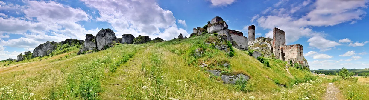 Zamek w Olsztynie koło Częstochowy. Zamek w Olsztynie k/Częstochowy - panorama