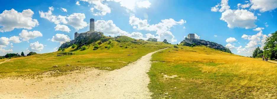 Zamek w Olsztynie koło Częstochowy.