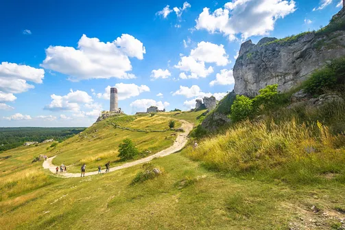Zamek w Olsztynie koło Częstochowy.