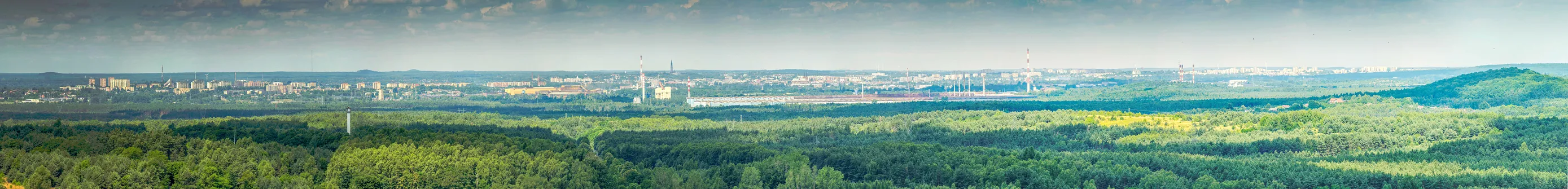 Zamek w Olsztynie koło Częstochowy.