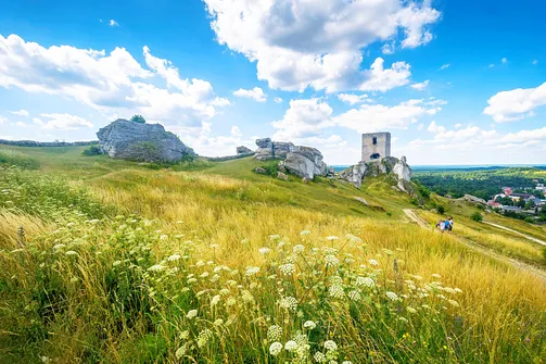 Zamek w Olsztynie koło Częstochowy.