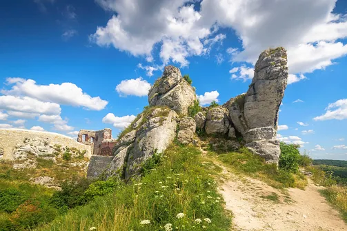 Zamek w Olsztynie koło Częstochowy.