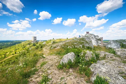 Zamek w Olsztynie koło Częstochowy.