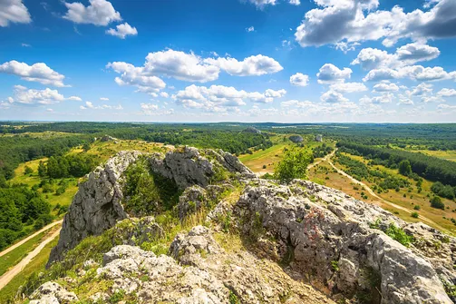 Zamek w Olsztynie koło Częstochowy.