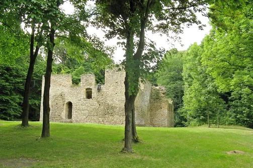 Ruiny zamku w Bąkowej Górze