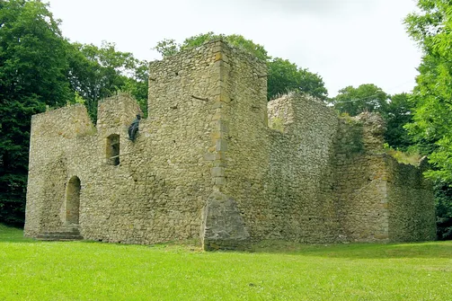 Ruiny zamku w Bąkowej Górze