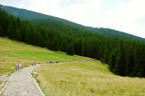 Rusinowa Polana