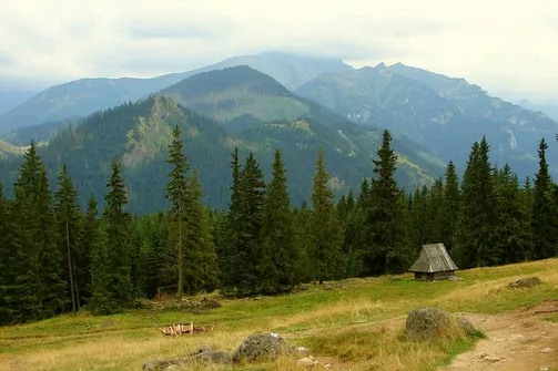 Rusinowa Polana