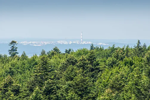 Kielce widziane z Łysej Góry z wyróżniającym się kominem elektrociepłowni.