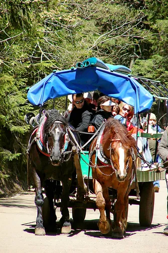 Wędrówka nad Morskie Oko