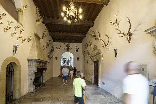 Zamek Książ w Wałbrzychu. 