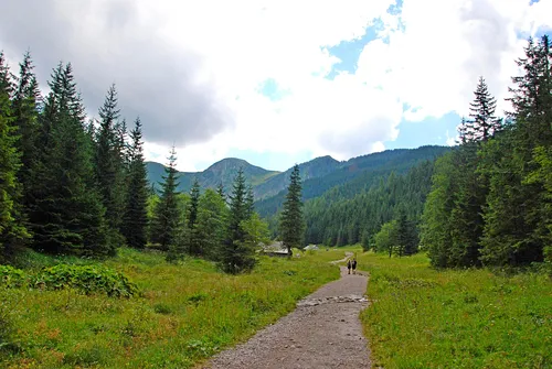 Hala Gąsienicowa, Czarny Staw Gąsienicowy, Nosal