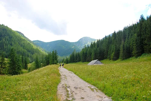 Hala Gąsienicowa, Czarny Staw Gąsienicowy, Nosal