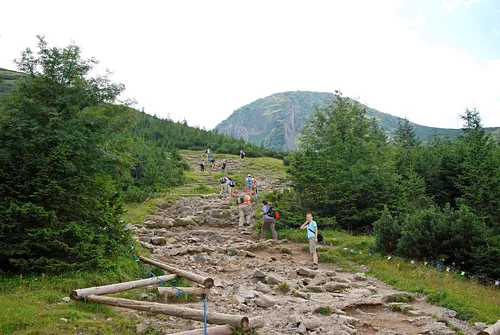 Hala Gąsienicowa, Czarny Staw Gąsienicowy, Nosal