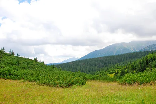 Hala Gąsienicowa, Czarny Staw Gąsienicowy, Nosal