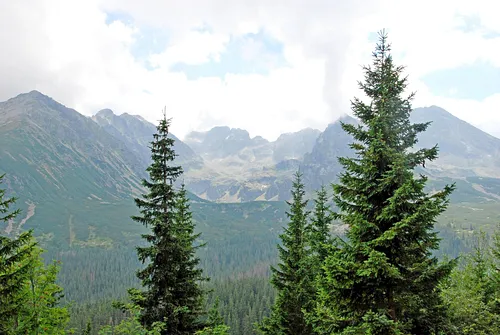 Hala Gąsienicowa, Czarny Staw Gąsienicowy, Nosal