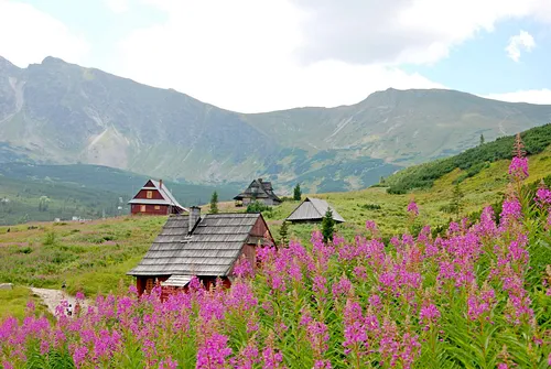 Hala Gąsienicowa, Czarny Staw Gąsienicowy, Nosal