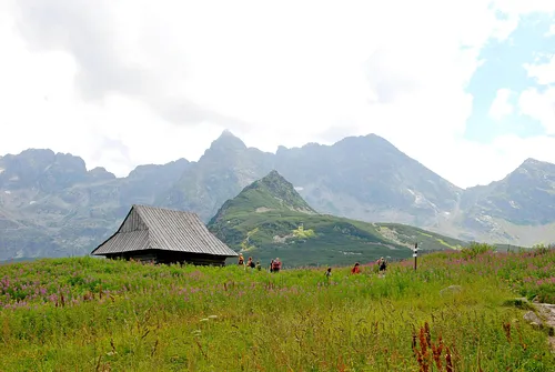 Hala Gąsienicowa, Czarny Staw Gąsienicowy, Nosal