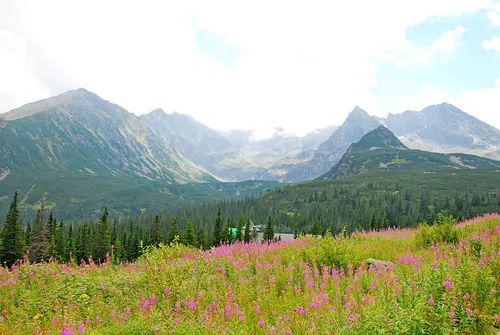 Hala Gąsienicowa, Czarny Staw Gąsienicowy, Nosal