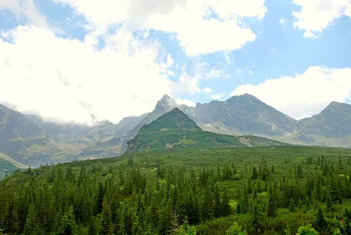 Hala Gąsienicowa, Czarny Staw Gąsienicowy, Nosal