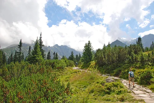 Hala Gąsienicowa, Czarny Staw Gąsienicowy, Nosal