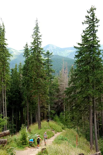 Hala Gąsienicowa, Czarny Staw Gąsienicowy, Nosal