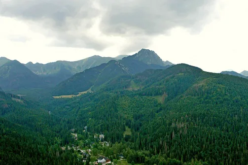 Hala Gąsienicowa, Czarny Staw Gąsienicowy, Nosal