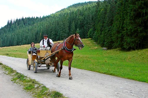 Bryczka w Dolinie Kościeliskiej