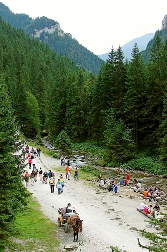 Zielony szlak w Dolinie Kościeliskiej