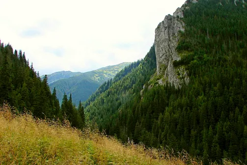 Wędrówka Doliną Kościeliską