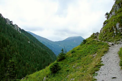 Szlak prowadzący do Jaskini Raptawickiej