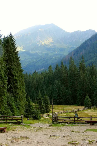 Widok ze Schroniska Ornak