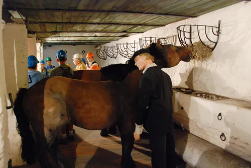 Kopalnia Guido - zabytkowa kopalnia w Zabrzu