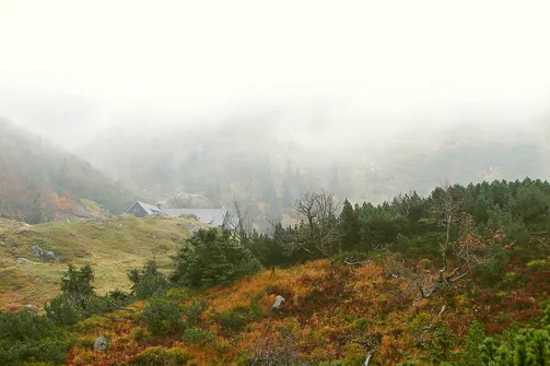 Dolina Łaby i Śnieżne Kotły w Karkonoszach