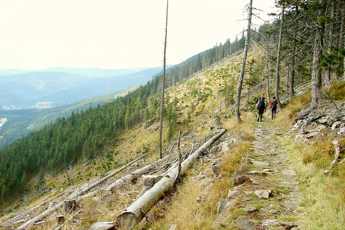 Dolina Łaby i Śnieżne Kotły w Karkonoszach