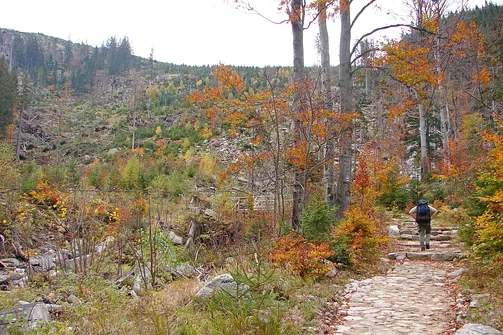 Dolina Łaby i Śnieżne Kotły w Karkonoszach