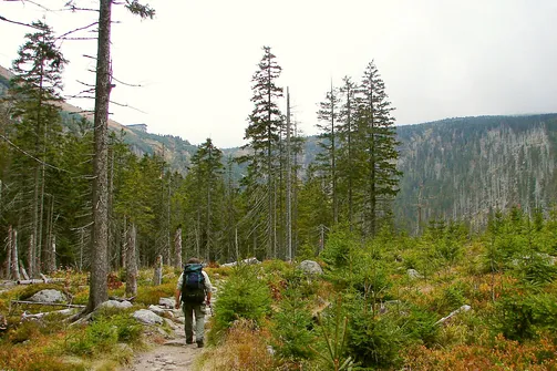 Dolina Łaby, wysoko w oddali schronisko Labská bouda