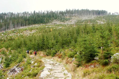Dolina Łaby i Śnieżne Kotły w Karkonoszach